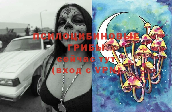 спиды Елабуга