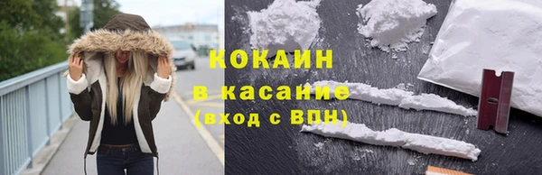 гидра Заводоуковск