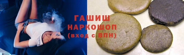 гидра Заводоуковск