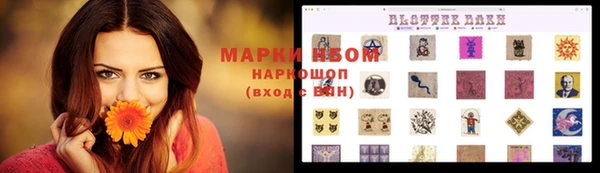 стафф Заволжье
