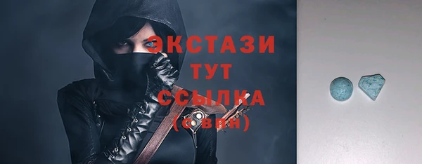 мет Ельня