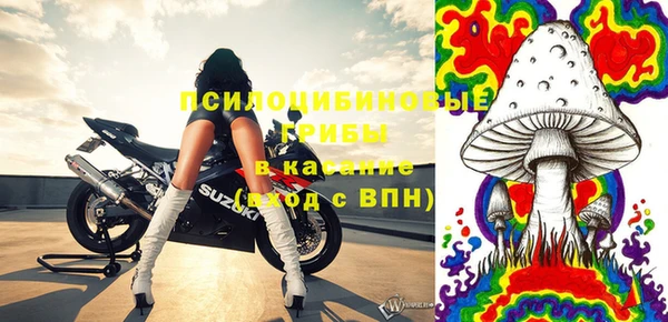 мет Ельня