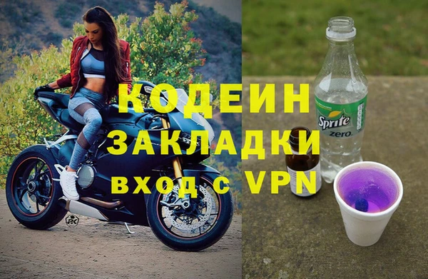 гидра Заводоуковск