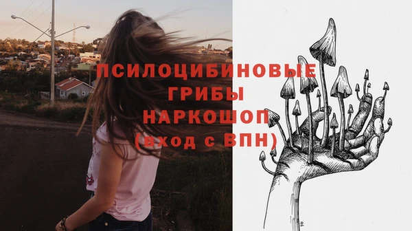 мет Ельня