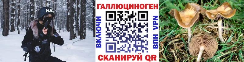 Галлюциногенные грибы Cubensis  Купить где  Краснотурьинск 