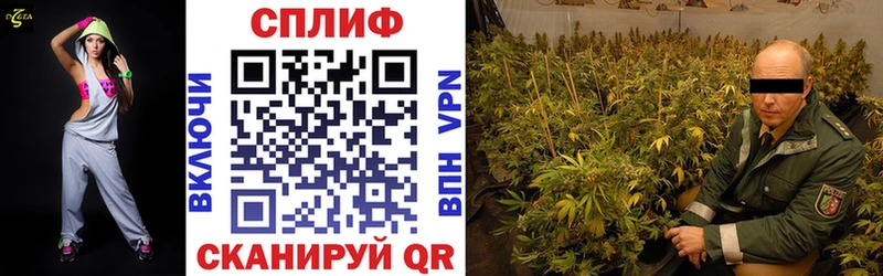 Купить где  Краснотурьинск  Шишки марихуана марихуана 